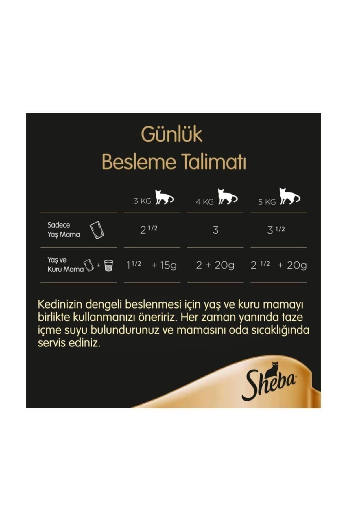 Sheba Somonlu Yetişkin Kedi Yaş Maması 24 X 85 gr