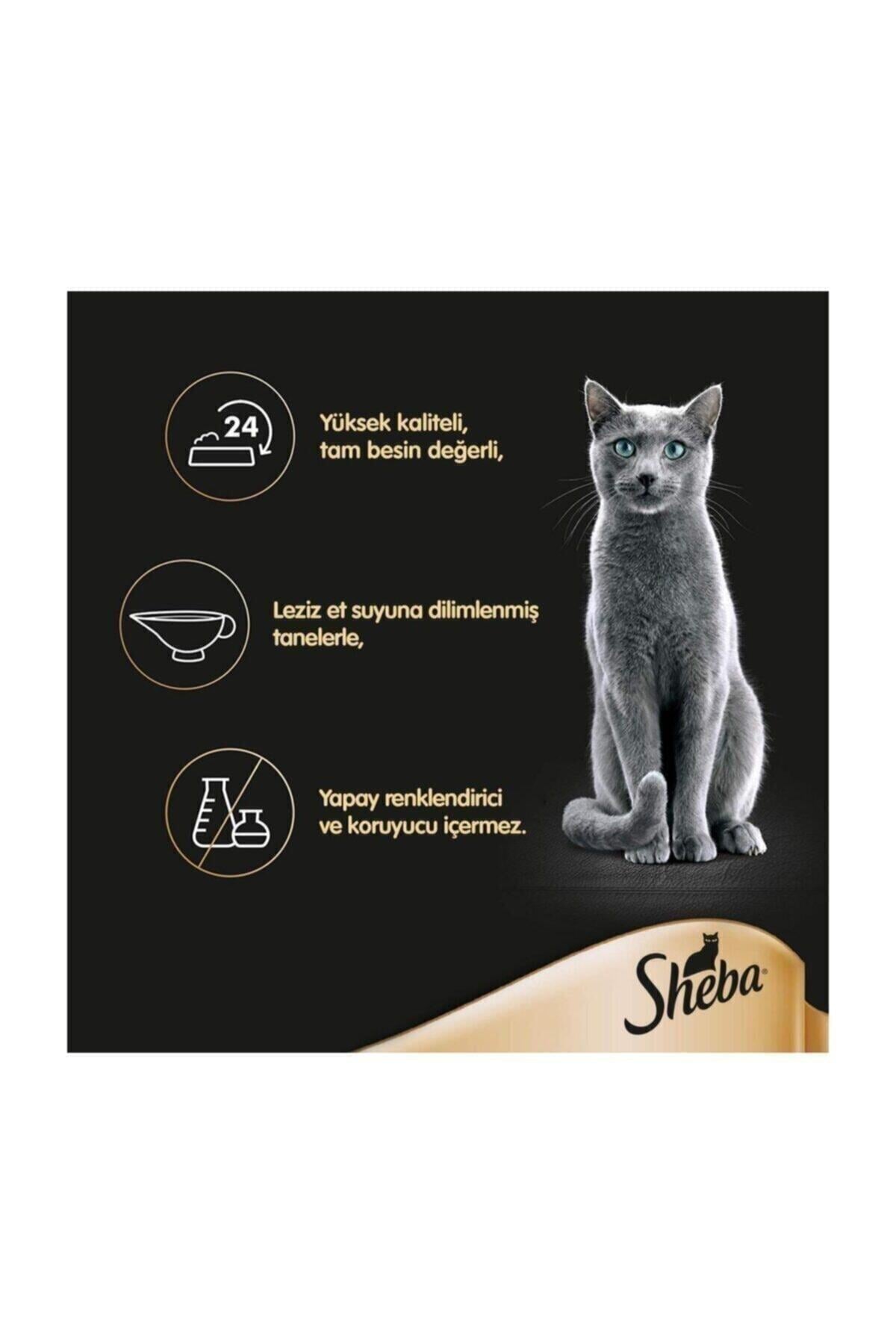 Sheba Somonlu Yetişkin Kedi Yaş Maması 85 gr