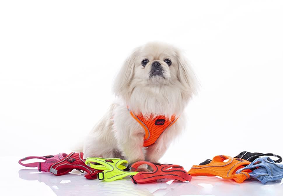 Tailpetz Air-Mesh Harness Köpek Göğüs Tasması Neon Kırmızı L