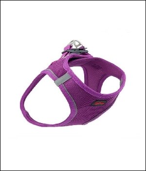 Tailpetz Air-Mesh Harness Köpek Göğüs Tasması Mor S