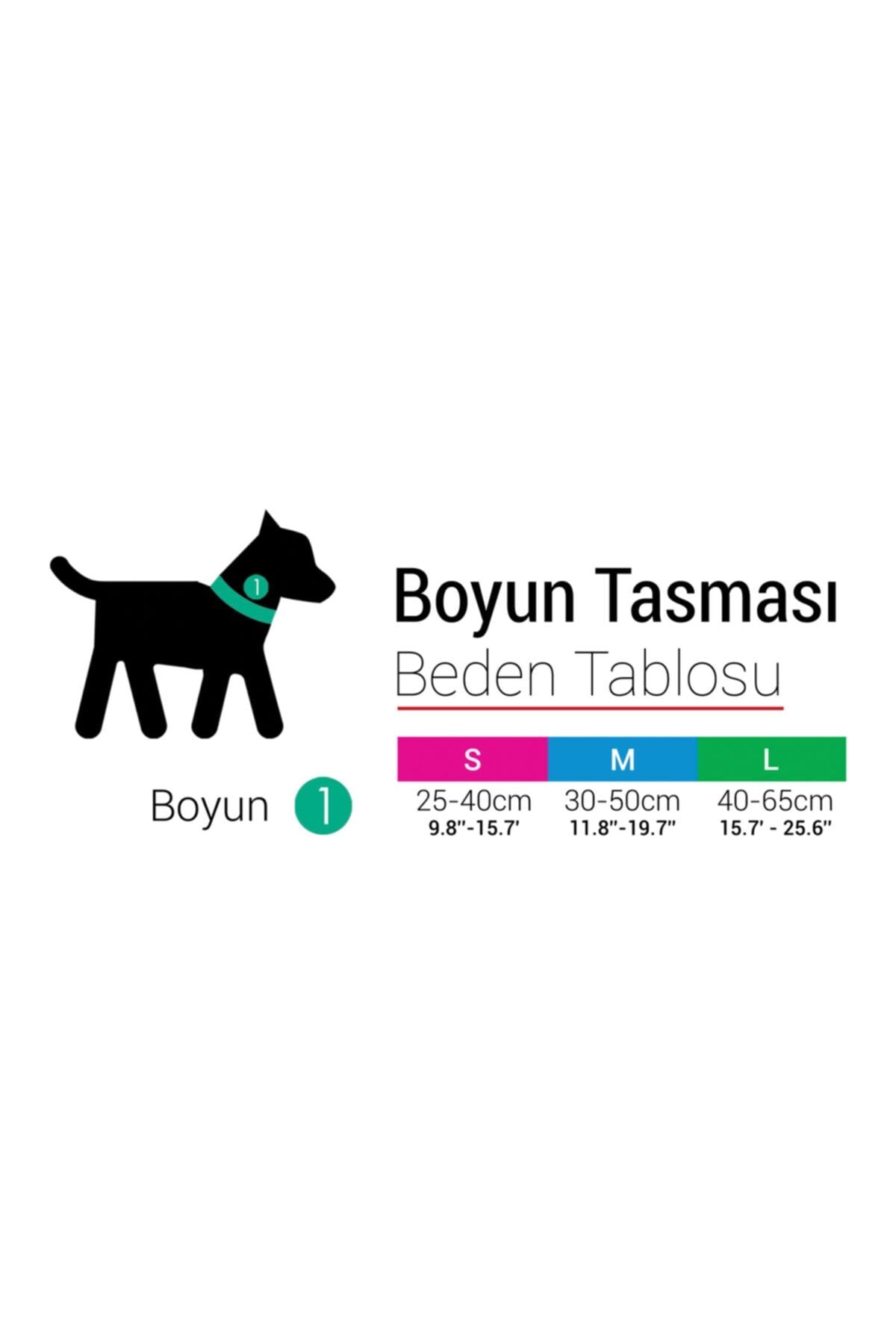 Tailpetz Köpek Boyun Tasması Boo L