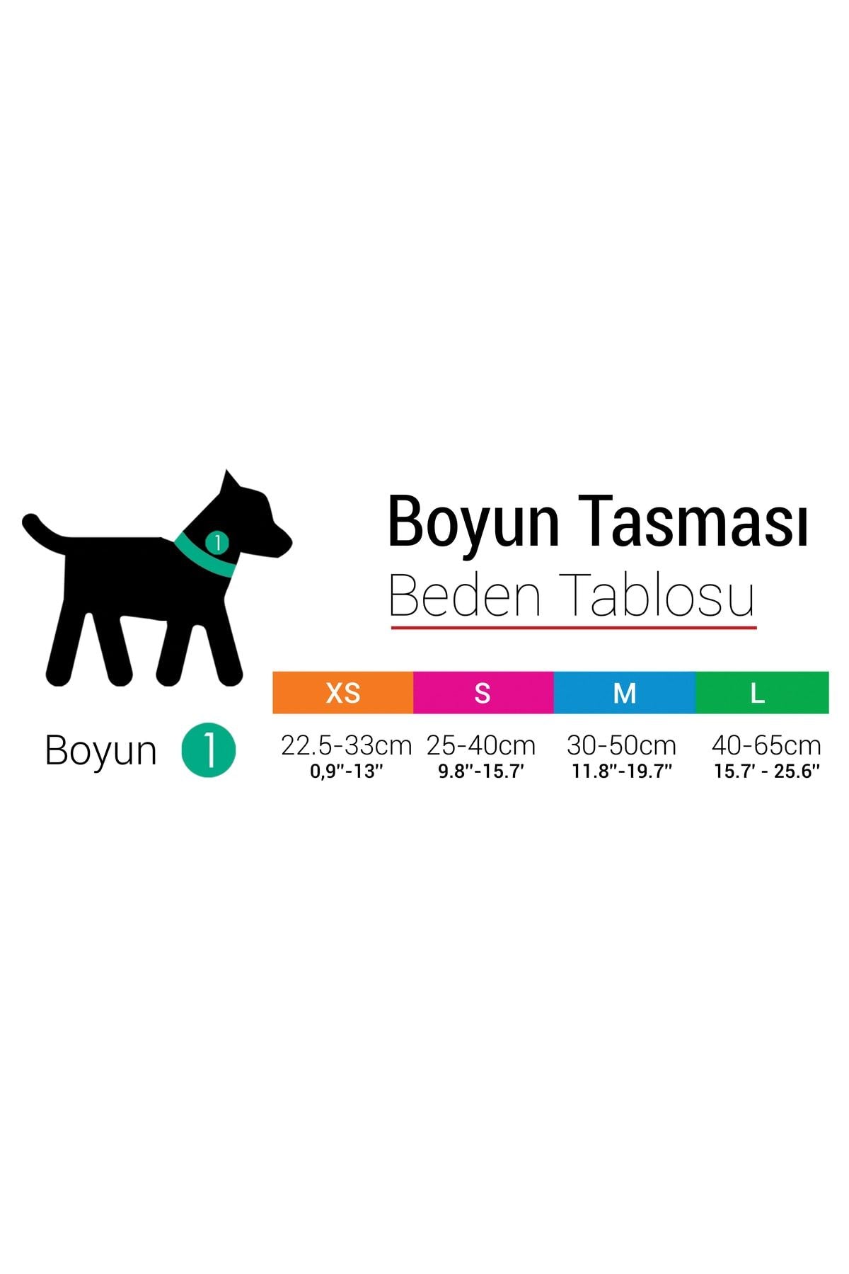 Tailpetz Köpek Boyun Tasması Collar M