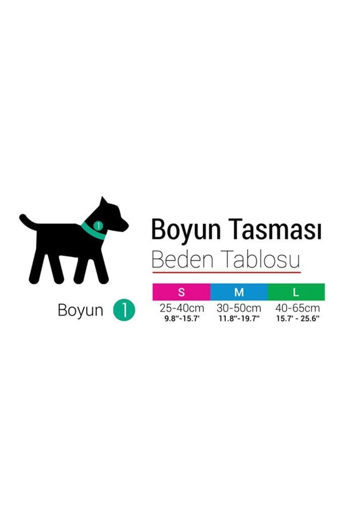 Tailpetz Köpek Boyun Tasması Space M