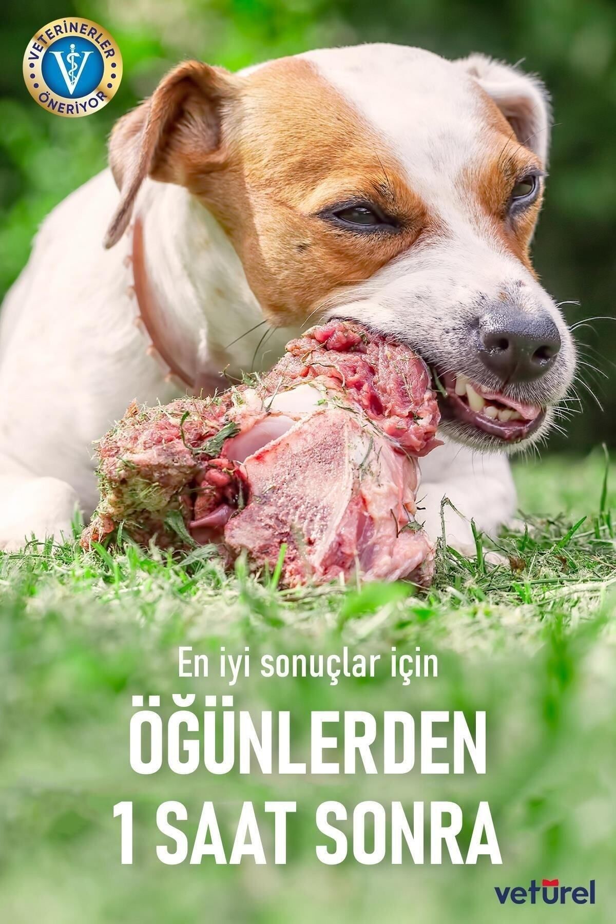 Vetürel Kedi ve Köpekler için Ağız ve Diş Bakım Spreyi 100 ml