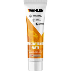 Wahlen Multi Vitamin Paste Kedi Macunu 100 gr