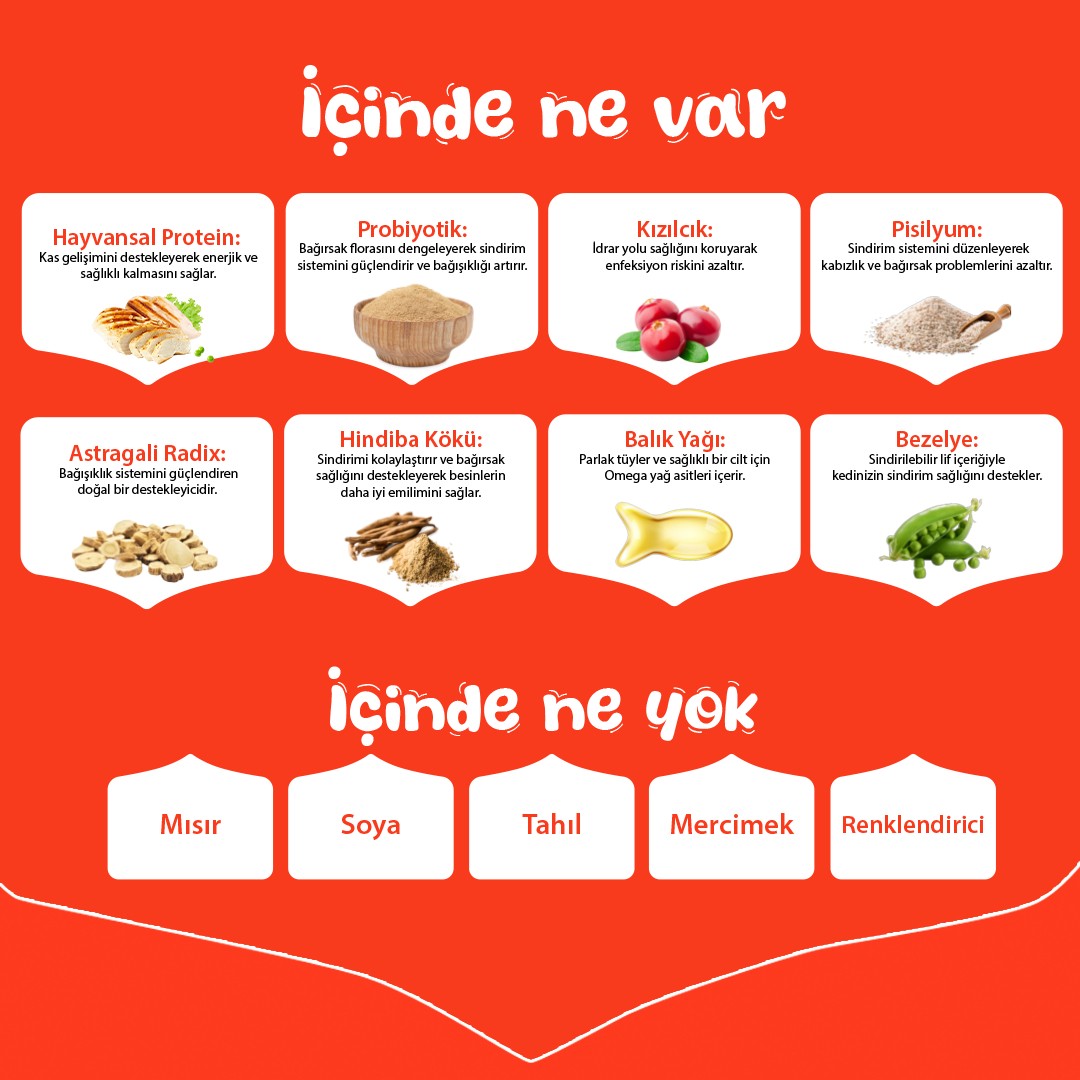 Wanpy Tahılsız Somonlu ve Ton Balıklı Kısırlaştırılmış Yetişkin Kedi Kuru Maması 1,5 kg