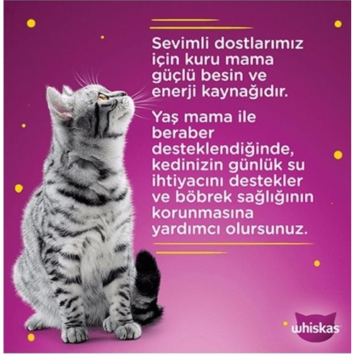 Whiskas Et Çeşitleri Yavru Kedi Yaş Maması 4x85 Gr 13 Paket52 Adet T 