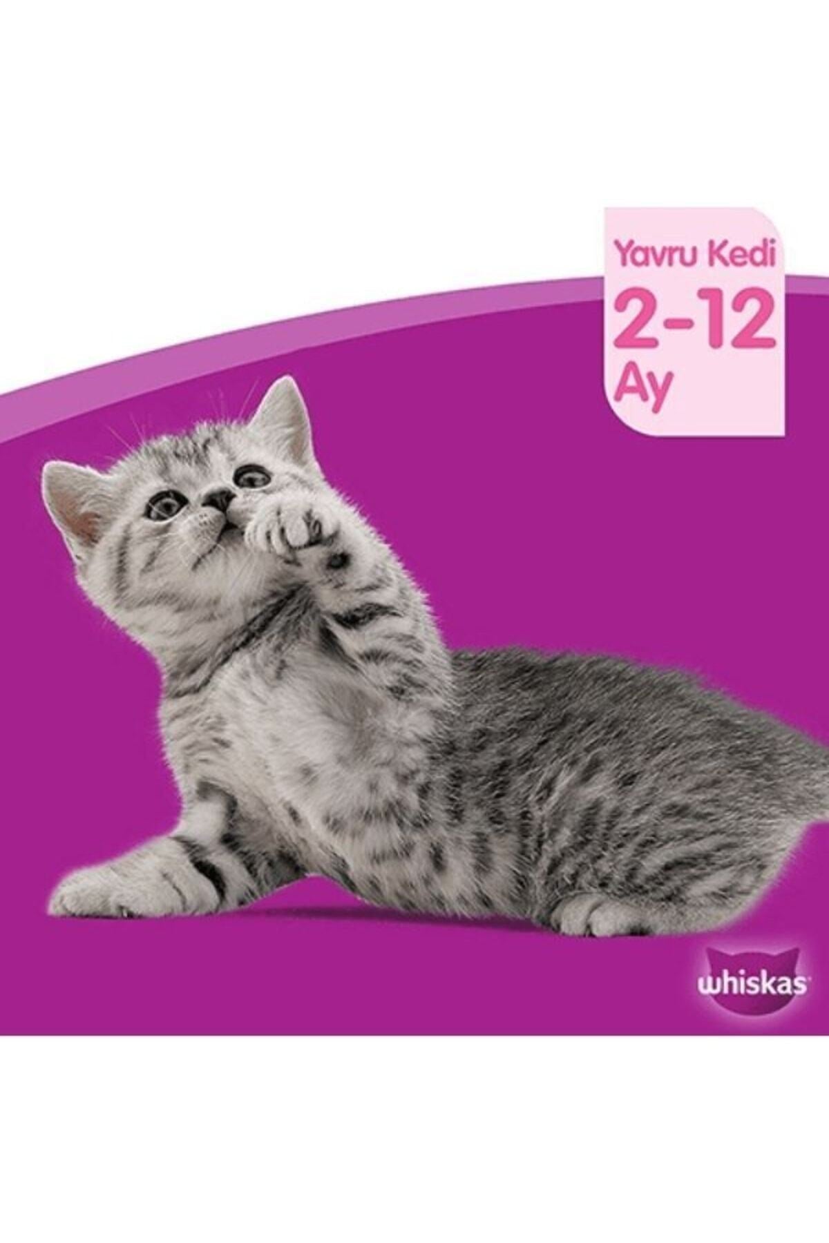 Whiskas Et Çeşitleri Yavru Kedi Yaş Maması 4X85 gr