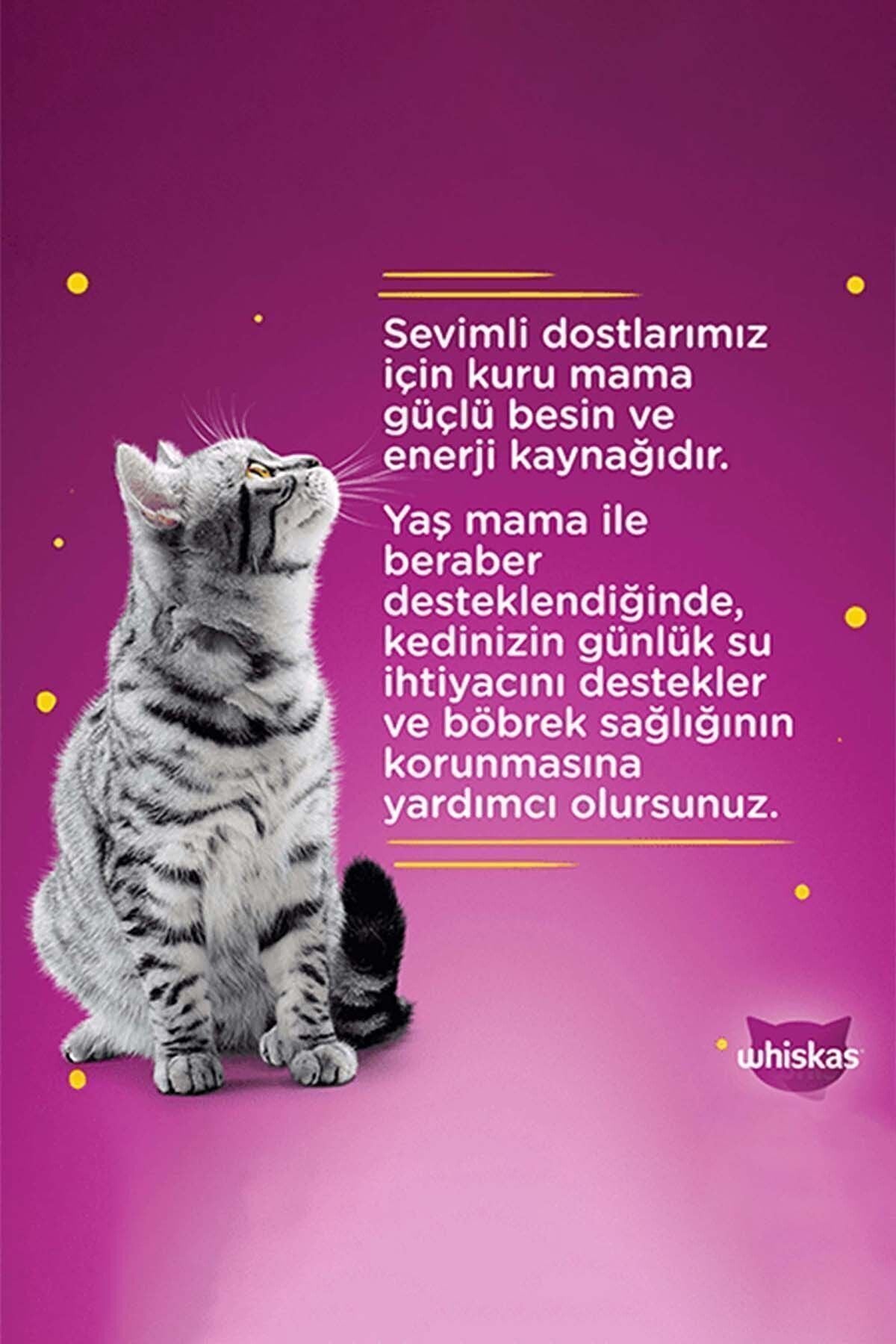 Whiskas Pouch Güveç Etli Pure Delight Tavuklu ve Somonlu Yavru Kedi Yaş Maması 4X85 gr