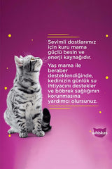 Whiskas Pouch Güveç Etli Pure Delight Tavuklu ve Somonlu Yavru Kedi Yaş Maması 4X85 gr