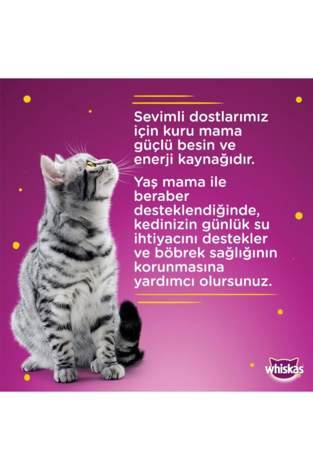 Whiskas Sığır Etli Yetişkin Kedi Konserve Yaş Maması 12X400 gr