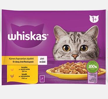 Whiskas Tavuklu ve Hindili Yetişkin Kedi Yaş Maması 4X85 gr (13 Paket,52 Adet Tekli)