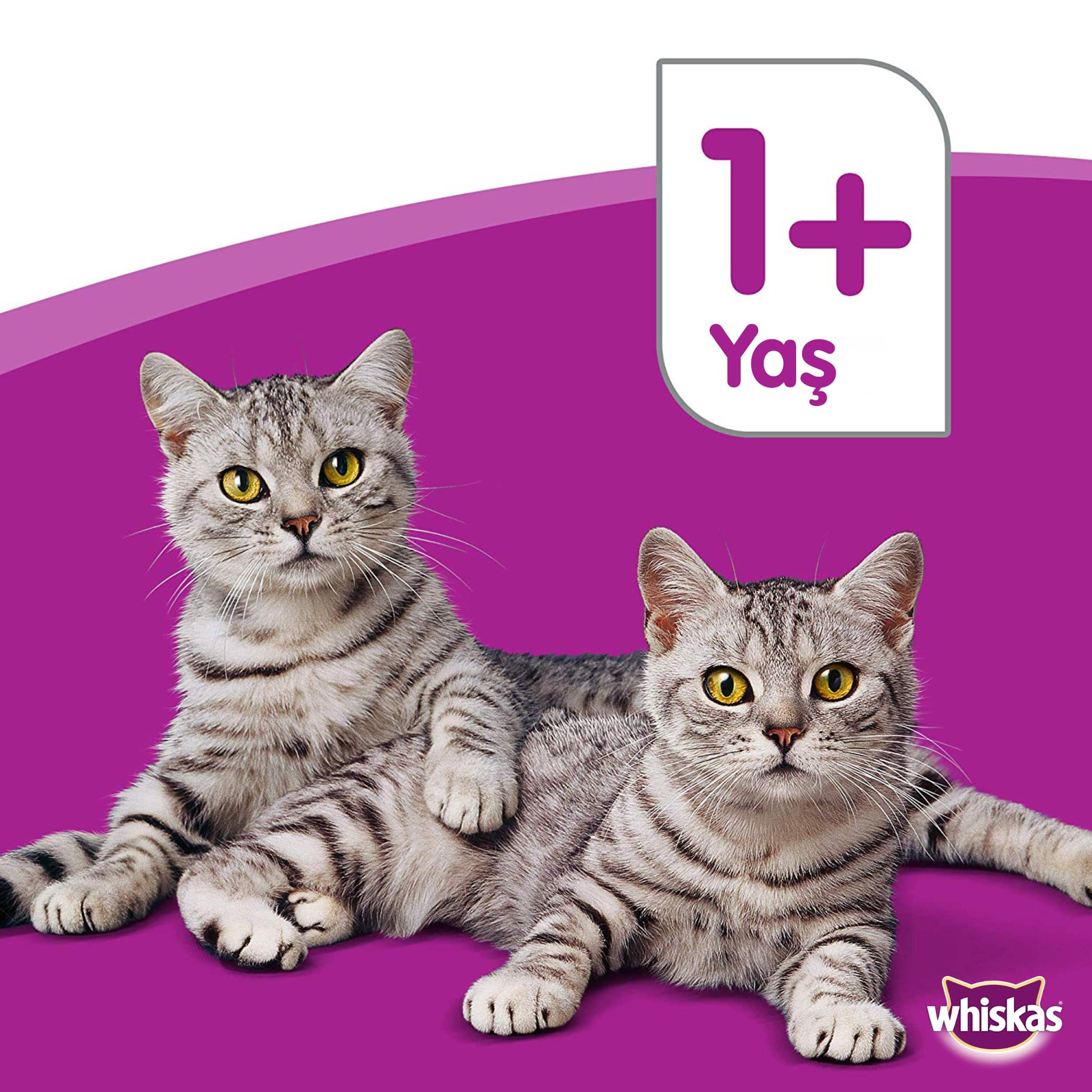 Whiskas Tavuklu Yetişkin Kedi Kuru Maması 14 kg