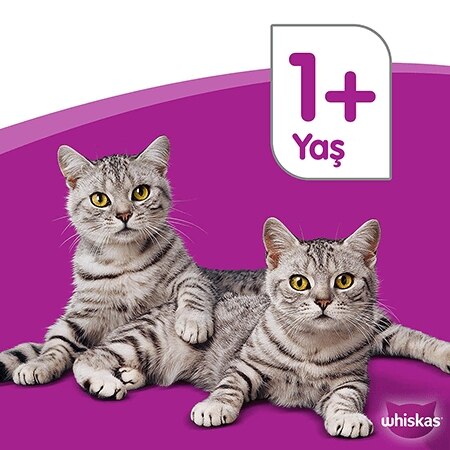 Whiskas Tavuklu Yetişkin Kedi Yaş Maması 28X85 gr