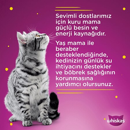 Whiskas Tavuklu Yetişkin Kedi Yaş Maması 28X85 gr